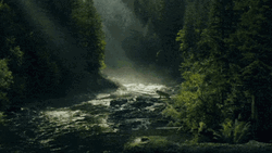 Far Cry 5 Jacob Seed Loading GIF