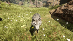 Far Cry 5 Wolfdog