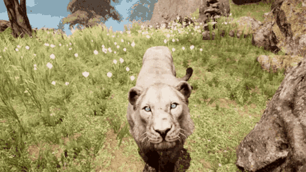 Far Cry Primal Cavelion GIF