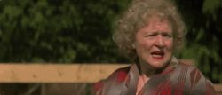 Farewell Cow Crocodile Attack GIF