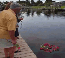 Farewell Flowers Funny Fall GIF