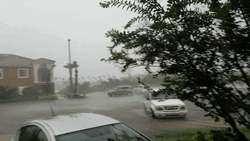 Farewell Neighborhood Hurricane Irma GIF