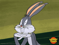 Fascinated Bugs Bunny Florida GIF