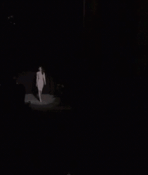 Fashion Show Spotlight GIF