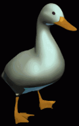 Fast 3D Duck Animation GIF