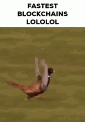 Fast Bird Help Hand GIF