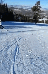 Fast Skiing Snow Slide GIF