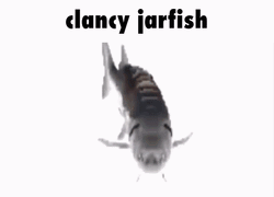 Fast Spinning Clancy Jar Fish GIF
