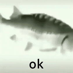 Fast Spinning Silver Fish Okay GIF