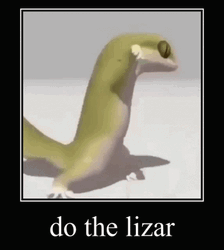 Fastest Dancing Lizard GIF