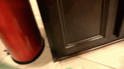 Fastest Sweep Of The Floor GIF