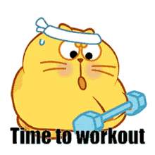 Fat Cat Saying Time To Workout GIF