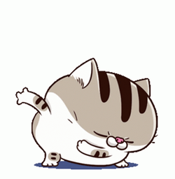Fat Cat Taking A Bow GIF