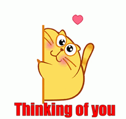 Fat Cat Thinking Of You GIF