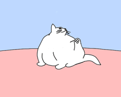 Fat Cat Trying Hard To Scratch GIF