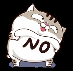 Fat Cat With A No Belly GIF