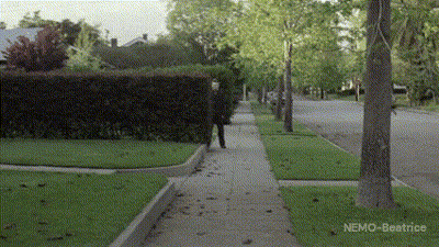 Fat Man In Blue Floral Shirt In Front Of Palm Tree GIF