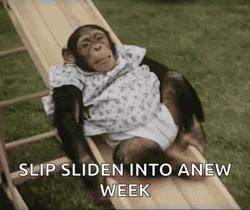 Fat Monkey Playing On A Slide GIF
