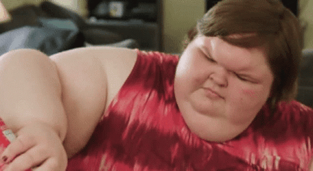 Fat People Chihuahua GIF