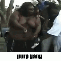 Fat Purp Gang GIF