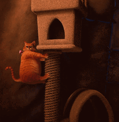 Fat Puss In Boots Descending From Cat House GIF