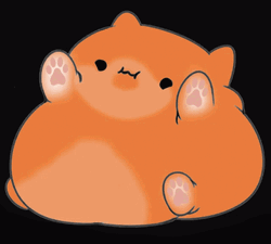 Fatty Bongo Cat GIF