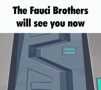 Fauci Brothers Sign With Maze GIF