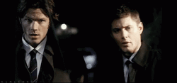 Fbi Agents Jared Padelecki Jensen Ackles Supernatural GIF