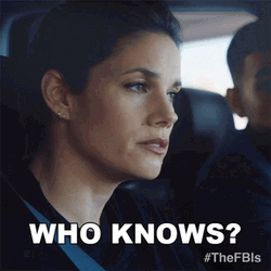 FBI Missy Peregrym Who Knows GIF
