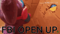 Fbi Open Up Cat In Box Meme GIF