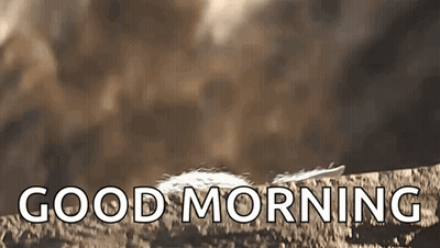 Feather On Rock Saying Good Morning GIF