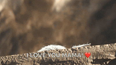 Feather On Rock Saying I Love You Mama GIF