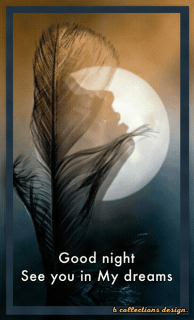 Feather With Good Night See You In Dreams GIF