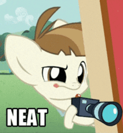 Featherweight Taking Neat Photos GIF