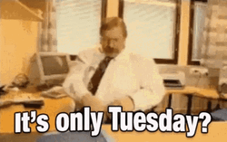 Fed Up Employee Funny Tuesday GIF