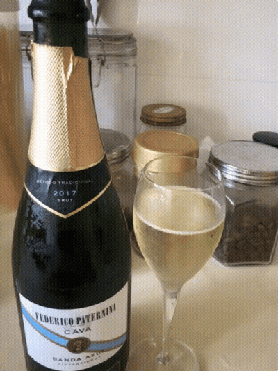 Federico Paternina Cava Bottle Next To Glass GIF