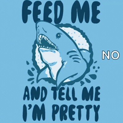 Feed Me And Tell Me Im Pretty Shark GIF