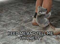 Feed Me And Tell Me Pretty GIF
