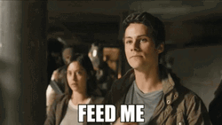 Feed Me Boy GIF