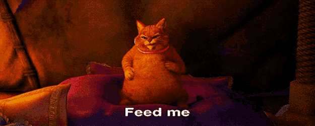 Feed Me GIF