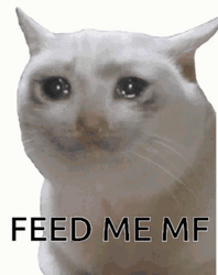 Feed Me GIF