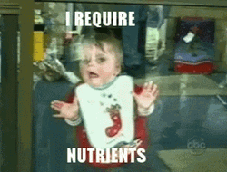 Feed Me Nutrients  GIF
