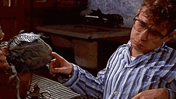 Feed Me Seymour Audrey Plant Eats Finger GIF