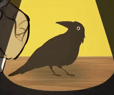 Feeding Black Bird Get Bitten Idiot GIF