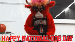 Feeding Dog Happy Day GIF