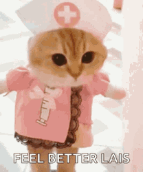Feel Better Cat Nurse GIF