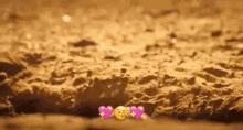 Feel Better Cute Meerkat GIF