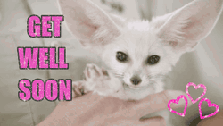 Feel Better Soon Baby Fox GIF