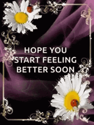 Feel Better Soon Daisies GIF