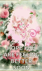 Feel Better Soon Pink Roses GIF